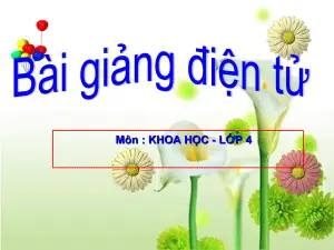 Khoa học 4- Tại sao có gió?