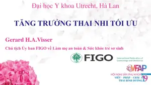 Tăng trưởng thai nhi tối ưu