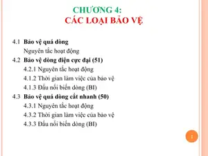 Các Loại Bảo Vệ Điện